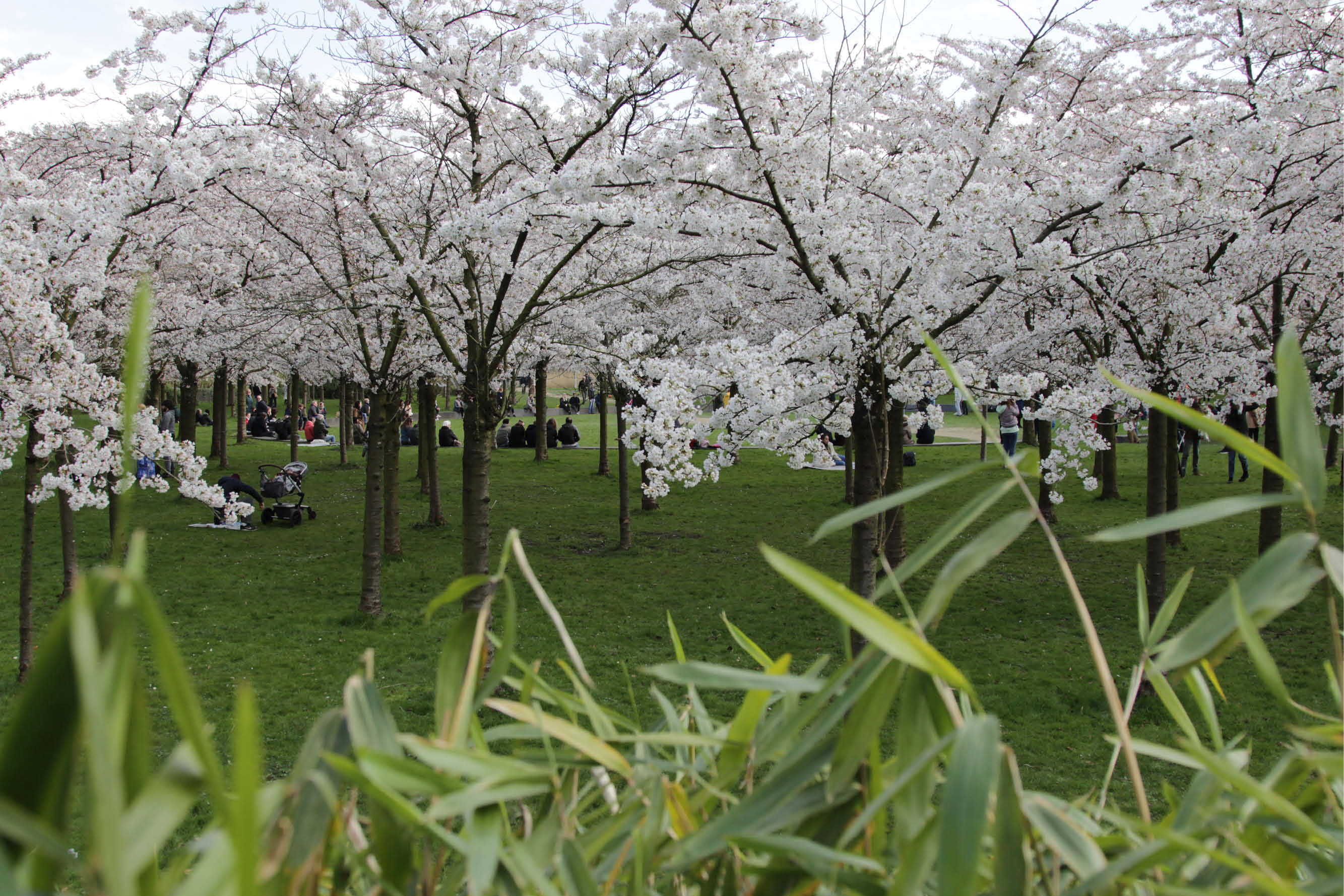 Ruimte voor rust