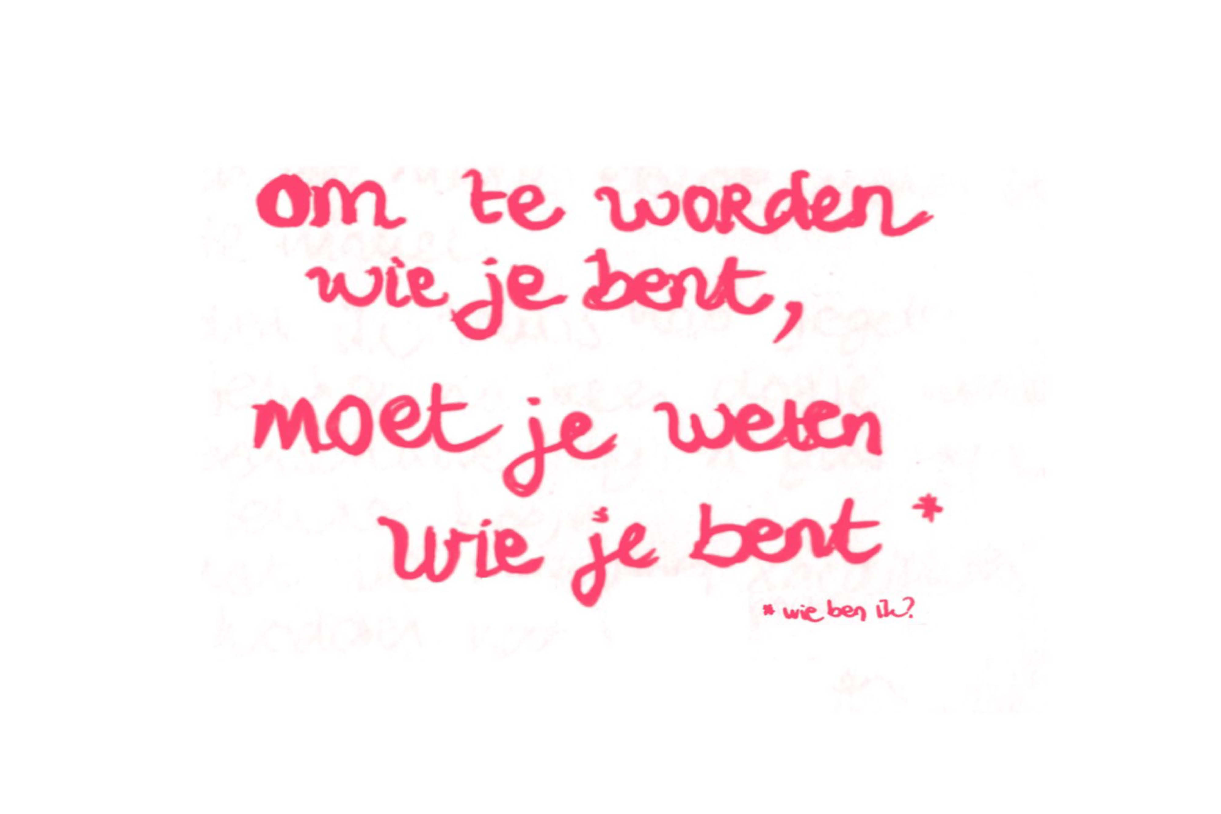 De zin van het leven