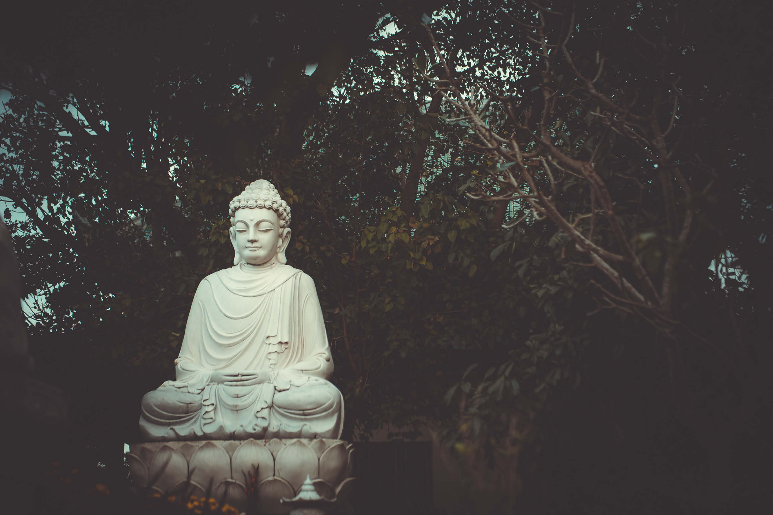 Mindfulness: blijf in je lijf