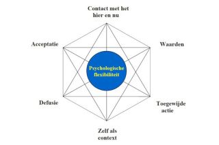PILLAR en ACT: psycho-educatie